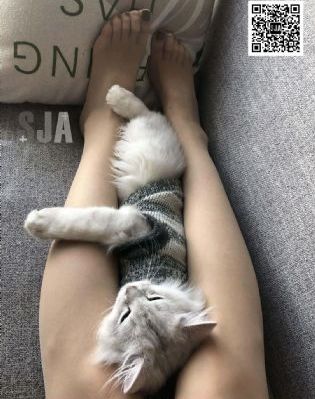 电影电视剧下载软件_BD完整视频观看