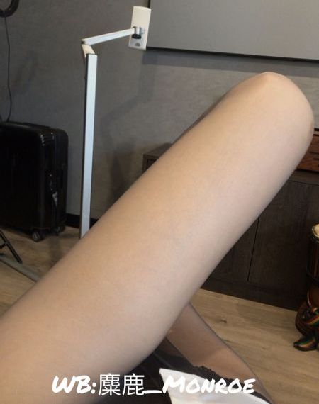 欧美mv视频免费高清_1080完整版观看